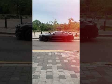 Mustang / Black Car / #mustang #mustang_fans #mustangmafia #mustangcoldstart #carlovers
