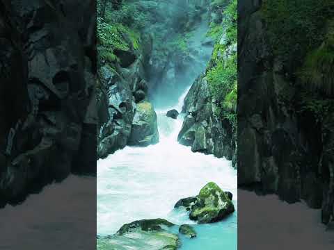 meditation 🧘‍♂️ Video #nature #meditationmusic #relaxing #sleepmusic30minutes
