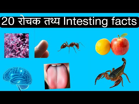 20 रोचक तथ्य। 20 Intesting facts about human and nature #factshorts #factsinhindi #factsmine #facts