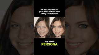 persona app Hacks That Everyone Should Know