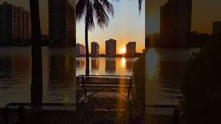 The track is live 🔥 | Art Generation – Where the Light Fades #newrelease  #miamisunset #miamiviews