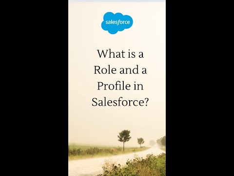 What is Role vs Profile ?| Bank Example | Salesforce Q3