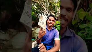 fun funny shorts #funnyzafrikhan #funnyzebra #funnyzdev #funny2023 #funny2020 #funny2024 #funny