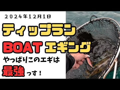 ティップランorBOATエギング   軍艦グリーンとモエモエグリーンが大活躍　 #軍艦グリーン　#最強エギ　#モエモエグリーン