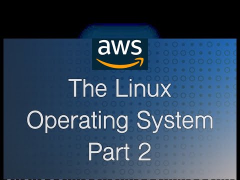 thecloudacademy-2024 cohort A - The Operating System (Introduction to Linux Operating System Part 2)