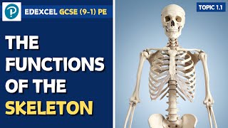 Edexcel GCSE PE - Functions of the Skeleton - The Musculo-Skeletal System (1.1)