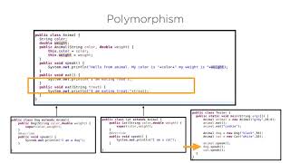 Java: Object Oriented Programming Concepts - Polymorphism