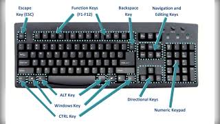 #shortvideo #youtubeshorts #computerbasic #keyboard