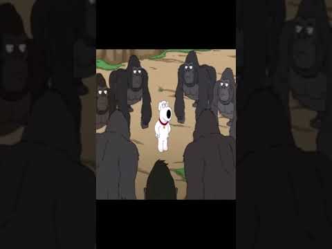 Family Guy - Brian gets fooled by gorillas #funny #familyguy #foryou #comedy #meme