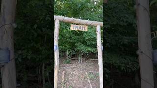 Tiny house community trailhead built with a WorkProX chainsaw mini #builtfromscratch #TinyLiving