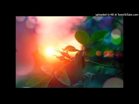 Classical Music for Concentration - Classical Piano Relax