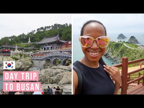 DAY TRIP TO BUSAN  // Oryukdo Island & Busan's beautiful temple by the sea