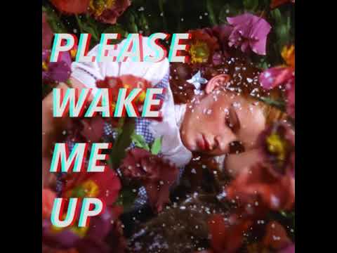 Please Wake Me Up w audio