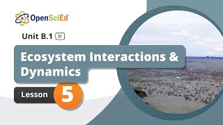 Unit B.1 Lesson 5 Planning Video | OpenSciEd On-Demand Resources