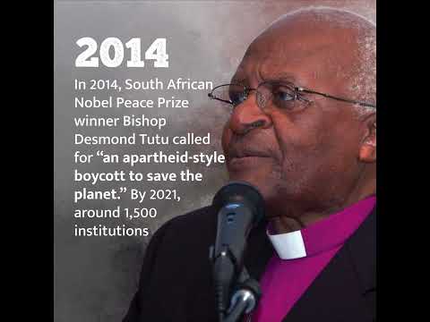 Contemporary Boycotts for Justice