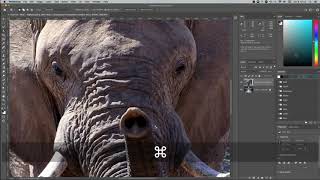 Photoshop 6D - Object Selection
