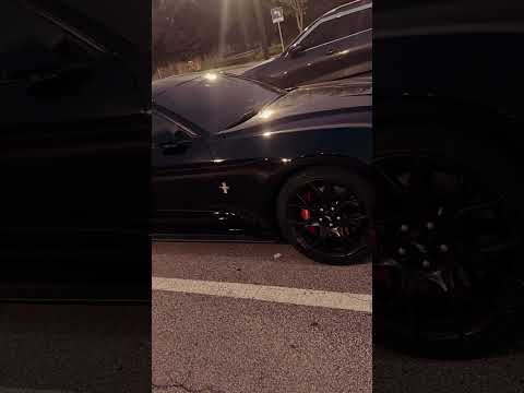 Haseen 💞 🧿! #haseen #mustangclub #mustangclub #indiakorea #indian #indinainkorea #indiancars