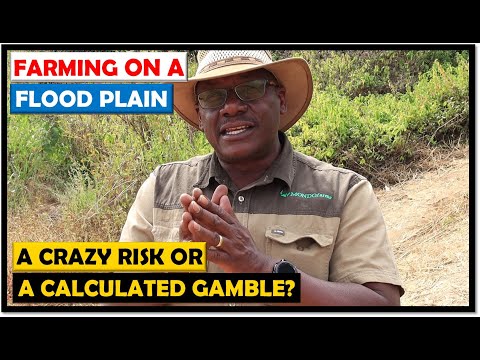 Farming on a Flood Plain: Risks and Rewards