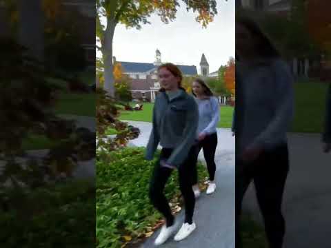 Fall Colors on Harvard Campus