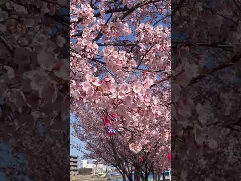 #lofi #coffee #chill #music #relax #citypopbeats #chilllofi #lofihiphopbeats #lofibeats #beats