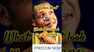 "Freedom Now" New Reggae Music 2023 #newreggaesongs #reggae
