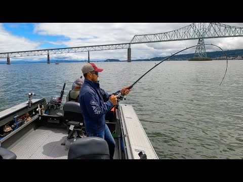Astoria , Oregon - Sturgeon fishing in Columbia River.