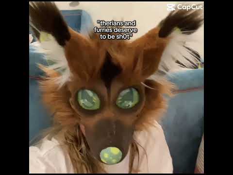 Why would you say/think that?!?! #therian #furry #fyp #idkwhattoputhere