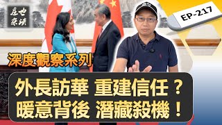 外長訪華,能否重建夥伴關係?很抱歉,這是我最中立、最冷靜的一期!全是扎心的大實話!【莊也雜談217】