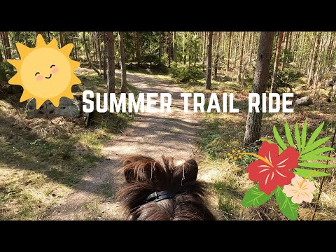 Summer trail ride! | Story time: He kept loosing his shoes 🤔 | Meeting lots of people 😳