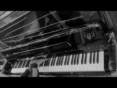 F. Liszt - Mephisto Waltz No. 1, S.514 "The Dance in the Village Inn" (Liszt's 210th birthday)