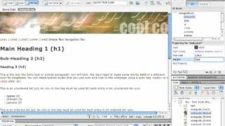 26.Creating.a.CSS.Style.Guide(Overriding the default browser styles).mov