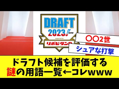 【もうすぐドラフト】ドラフト候補を評価する謎の用語一覧←コレwww