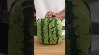Eating A Square Watermelon