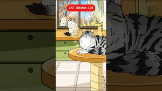 Cat Drama 101 #shorts
