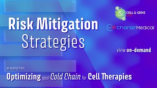 Risk Mitigation Strategies