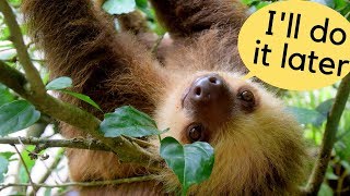 One Thing You Need to Overcome Procrastination & My Personal Example