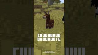 BABY MOUNTS + NEW LOOK = TRUE!
