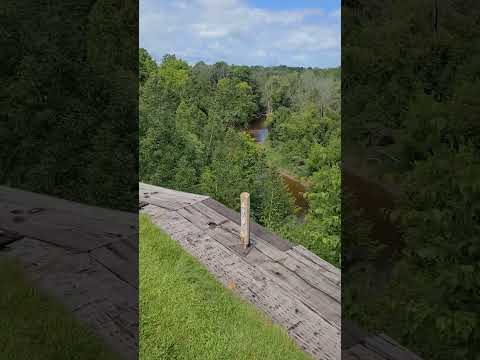 Dangerous drop at the 8th tee box at the River course at Blackwolf Run #golf #danger #shorts