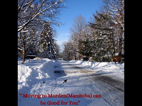 Morden City Immigration Program