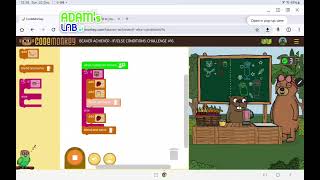 If/else conditions coding lesson with an example.