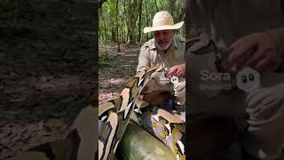 This Man Feeds a Giant Python by Hand — Not for the Faint-Hearted | USA Viral Short