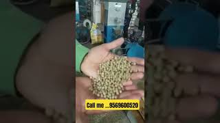 soybean banane ki machine #newbusinessideas2025 #machine