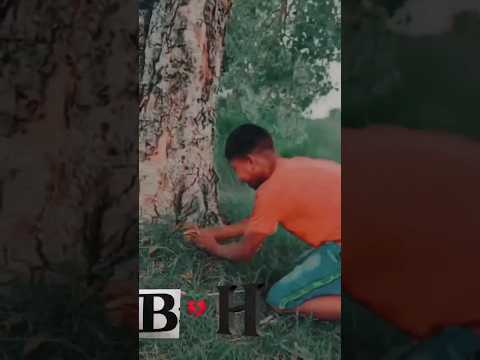 Baram Baba comedy video🤣 #shorts #shortvideo #viral #new #manimeraj #sdfunnytop #comedyshort #vikram