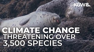 OSU researcher: Wild animals are facing 'existential crisis' with growing climate change