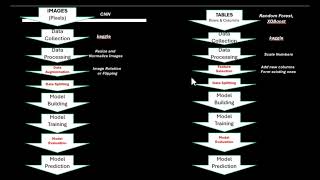 Image vs CSV Machine Learning Projects | ML: Step-by-Step Workflow Explained for Beginners | AI Pro