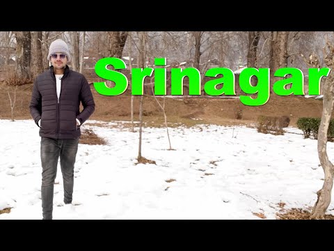 Srinagar | Srinagar in Winter | Crown of India | Best Snow Destination in India | Heart of India