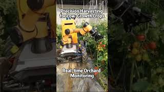 Autonomous Harvesting Robot,Orchard Guardian