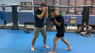 Fighting from the Standing Turtle Defense for MMA, Boxing, and Self Defense
