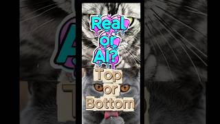 AI or Real? AI illusion, AI challenge. Real vs fake watch.