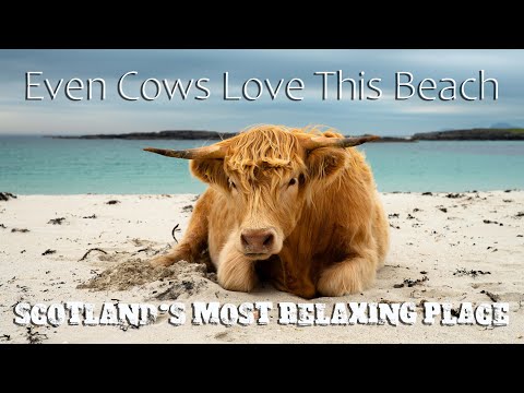 Discover Sanna Beach – Scotland's Hidden Coastal Paradise! Breathtaking 4K Drone Shots